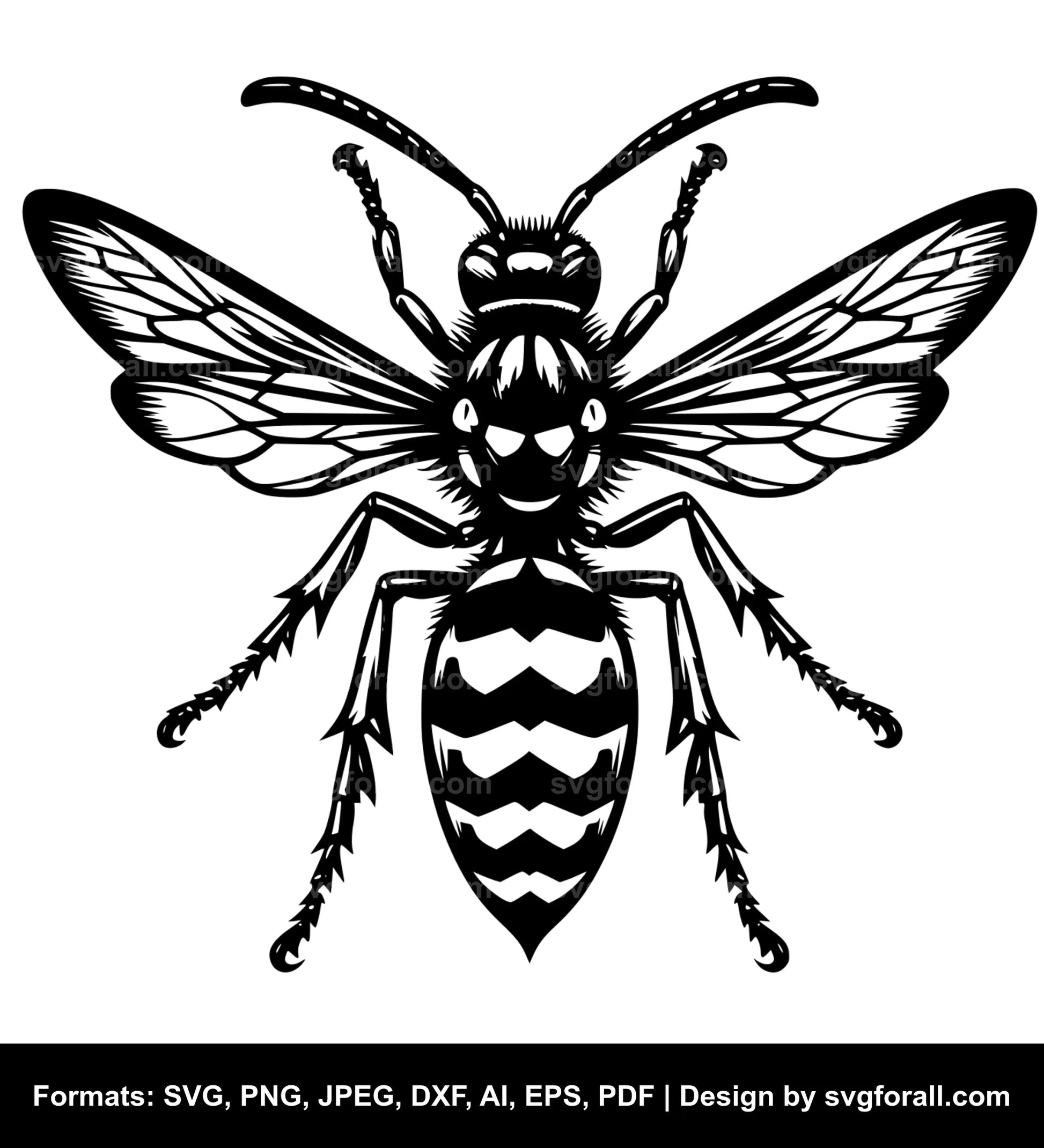 Wasp SVG PNG