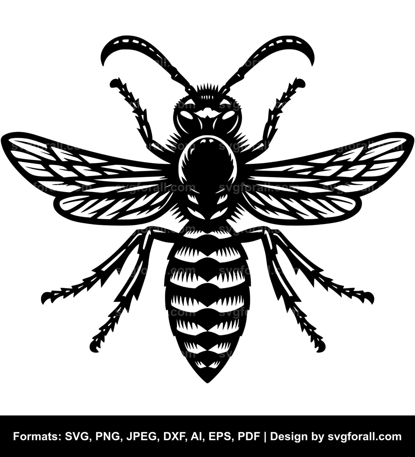 Wasp SVG Vector