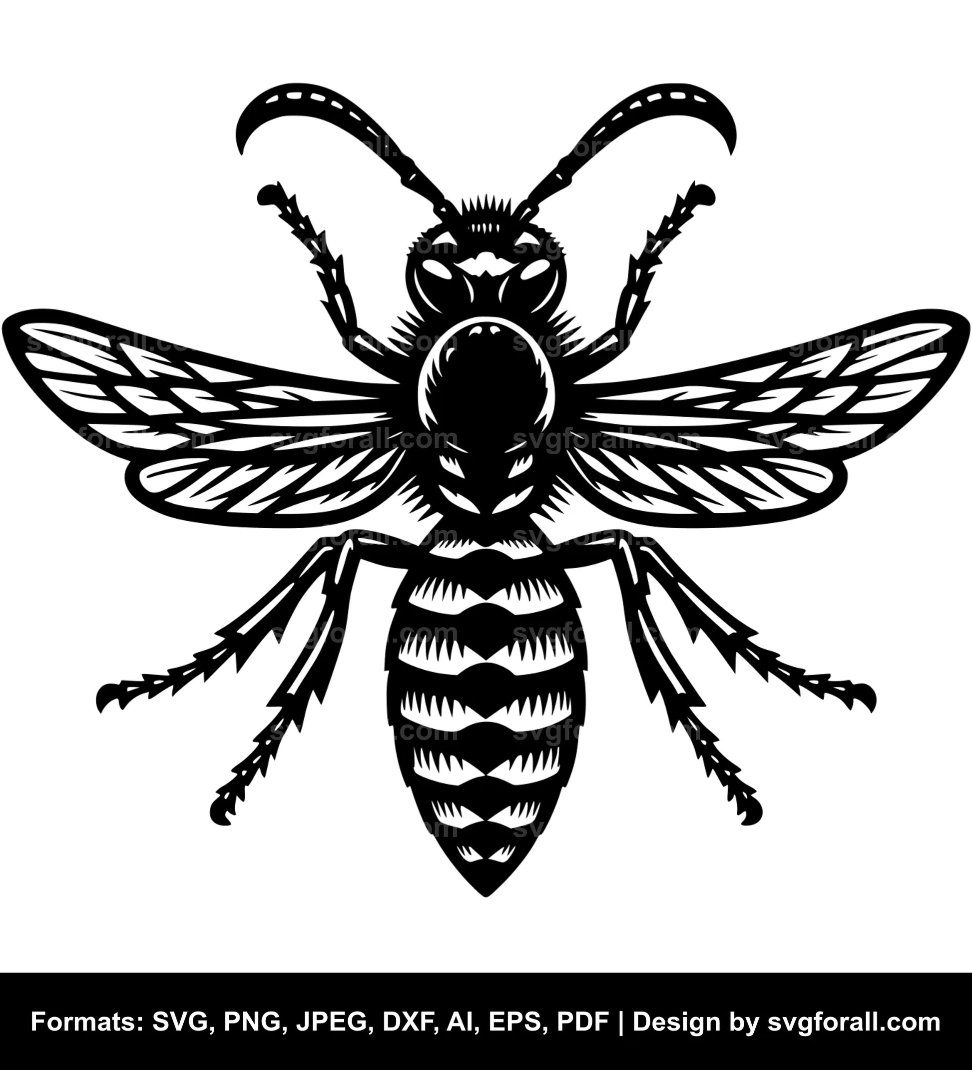 Wasp SVG Vector