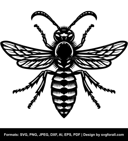 Wasp SVG Vector