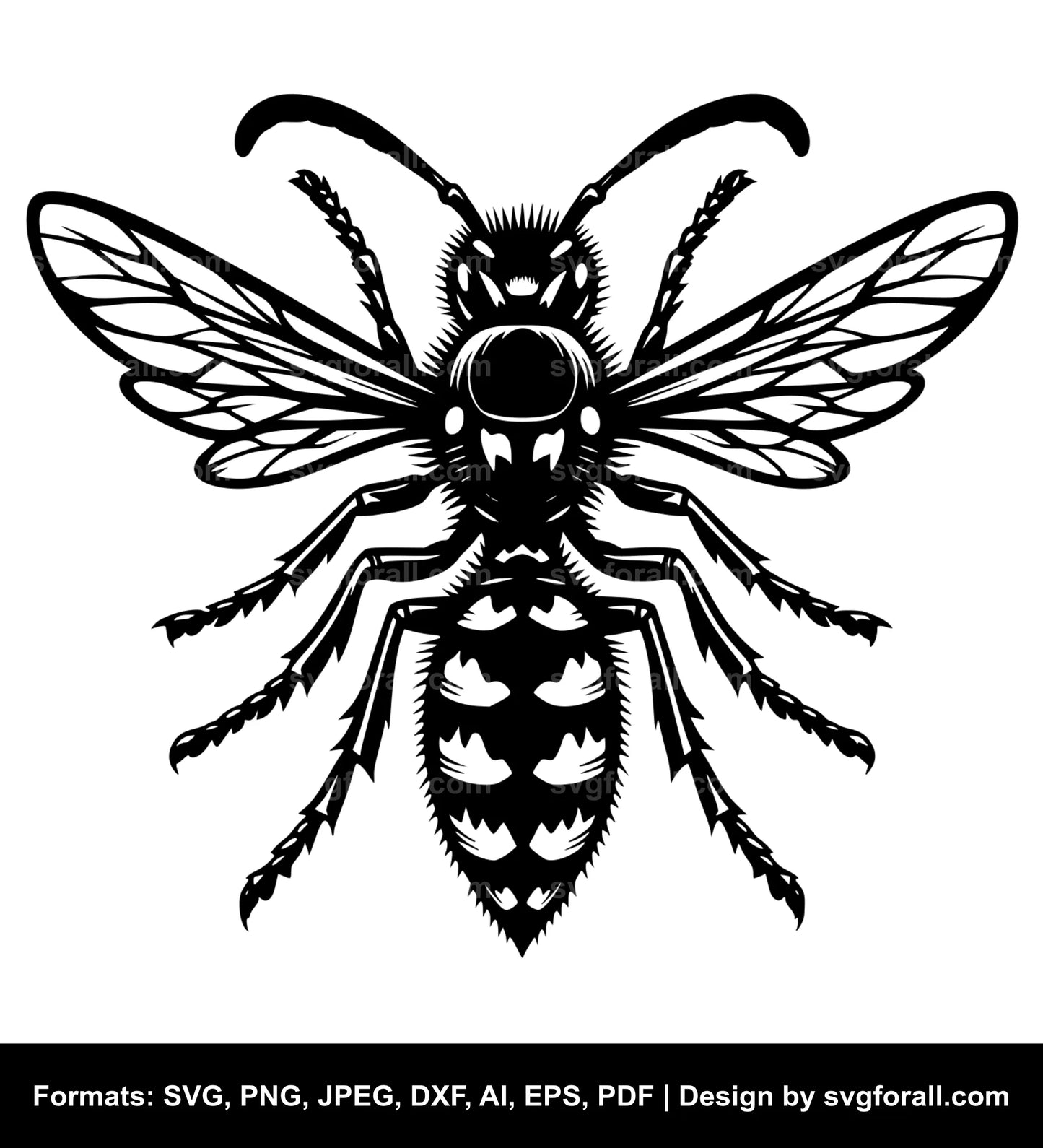 Wasp Vector SVG