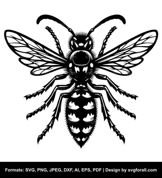 Wasp Vector SVG