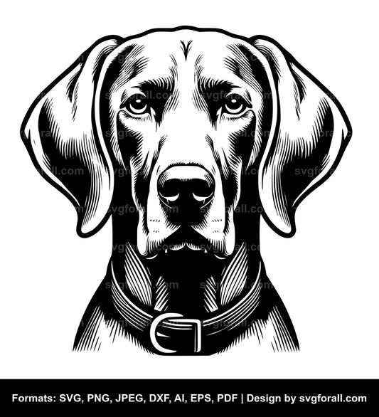 Weimaraner Dog SVG