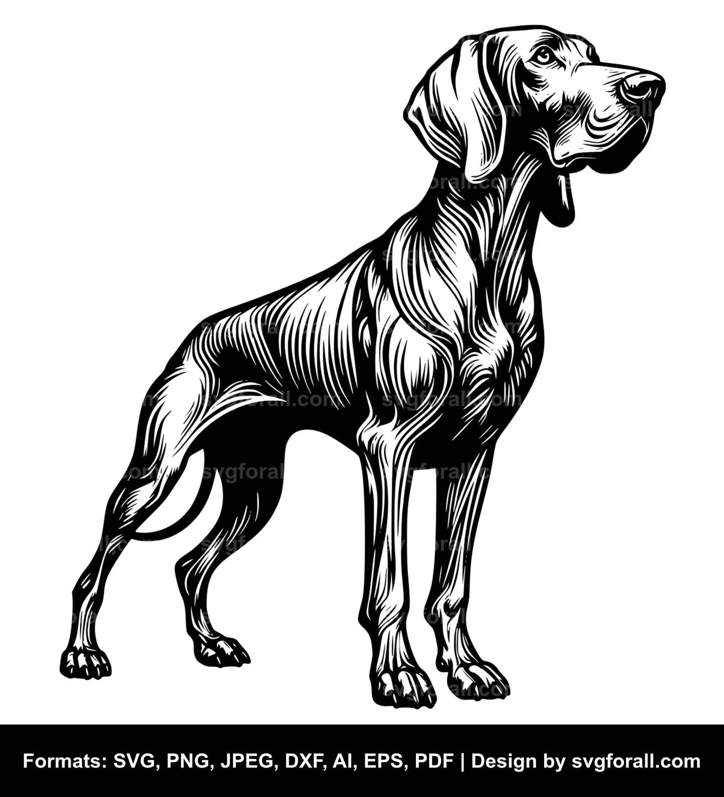 Weimaraner Dog SVG Vector