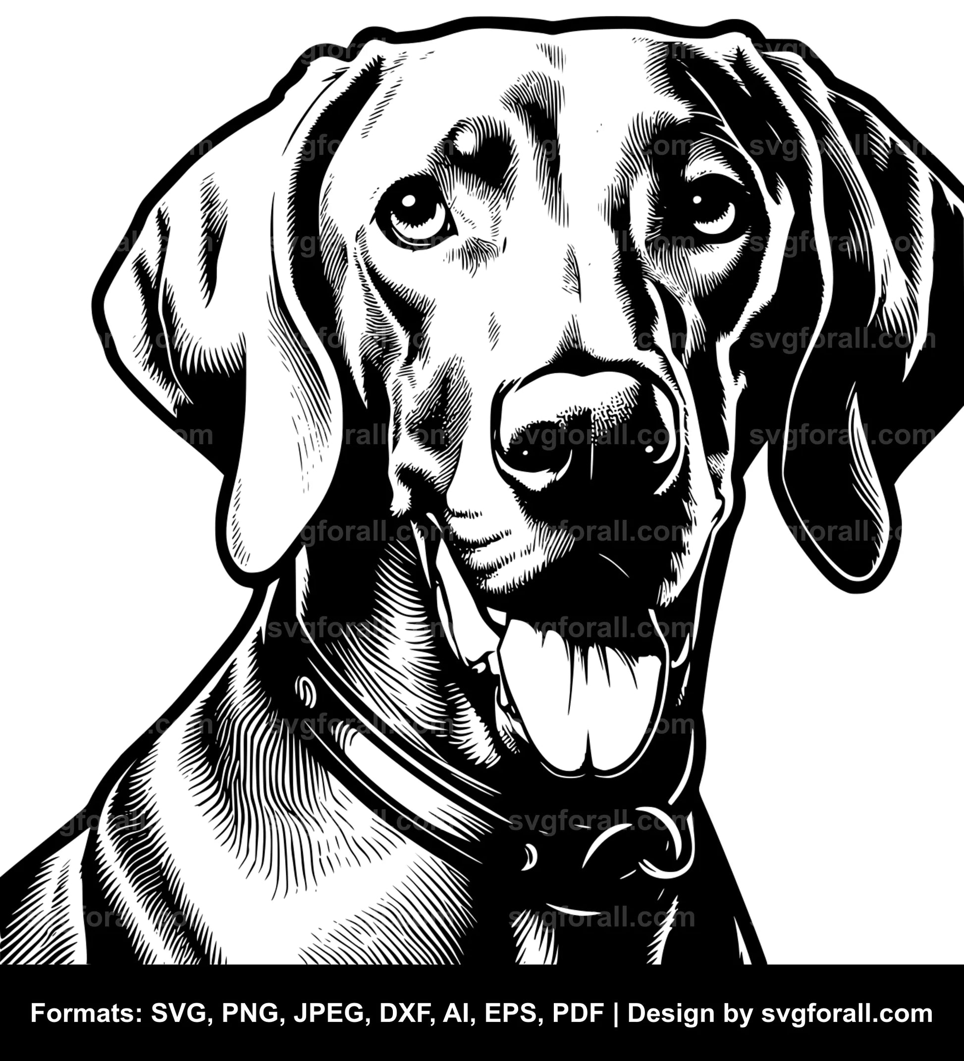 Weimaraner Dog Vector SVG