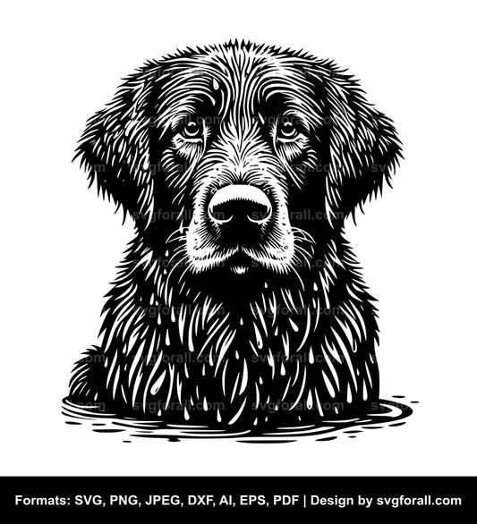 Wet Dog Cricut SVG