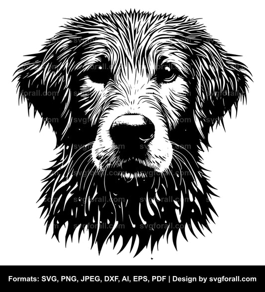 Wet Dog SVG Vector