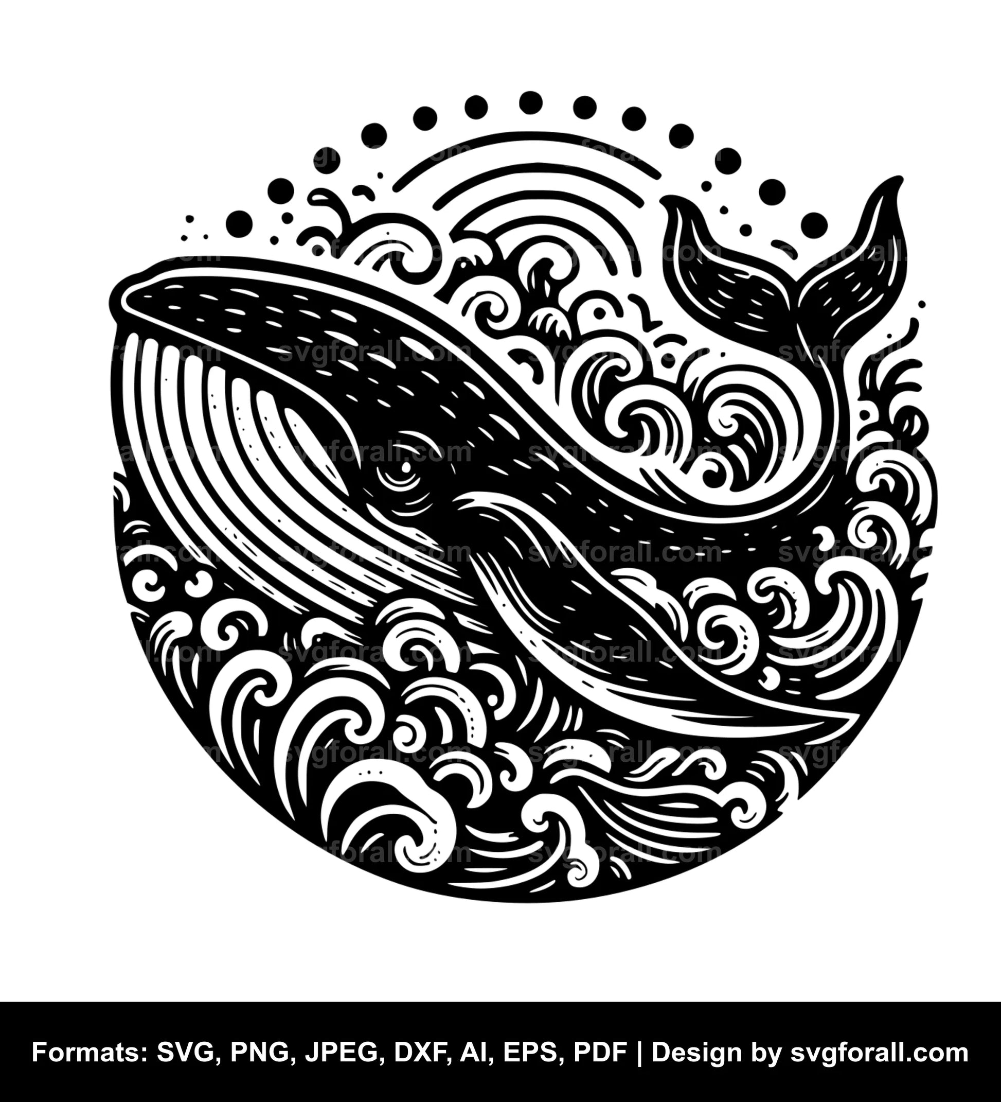 Whale SVG PNG Image