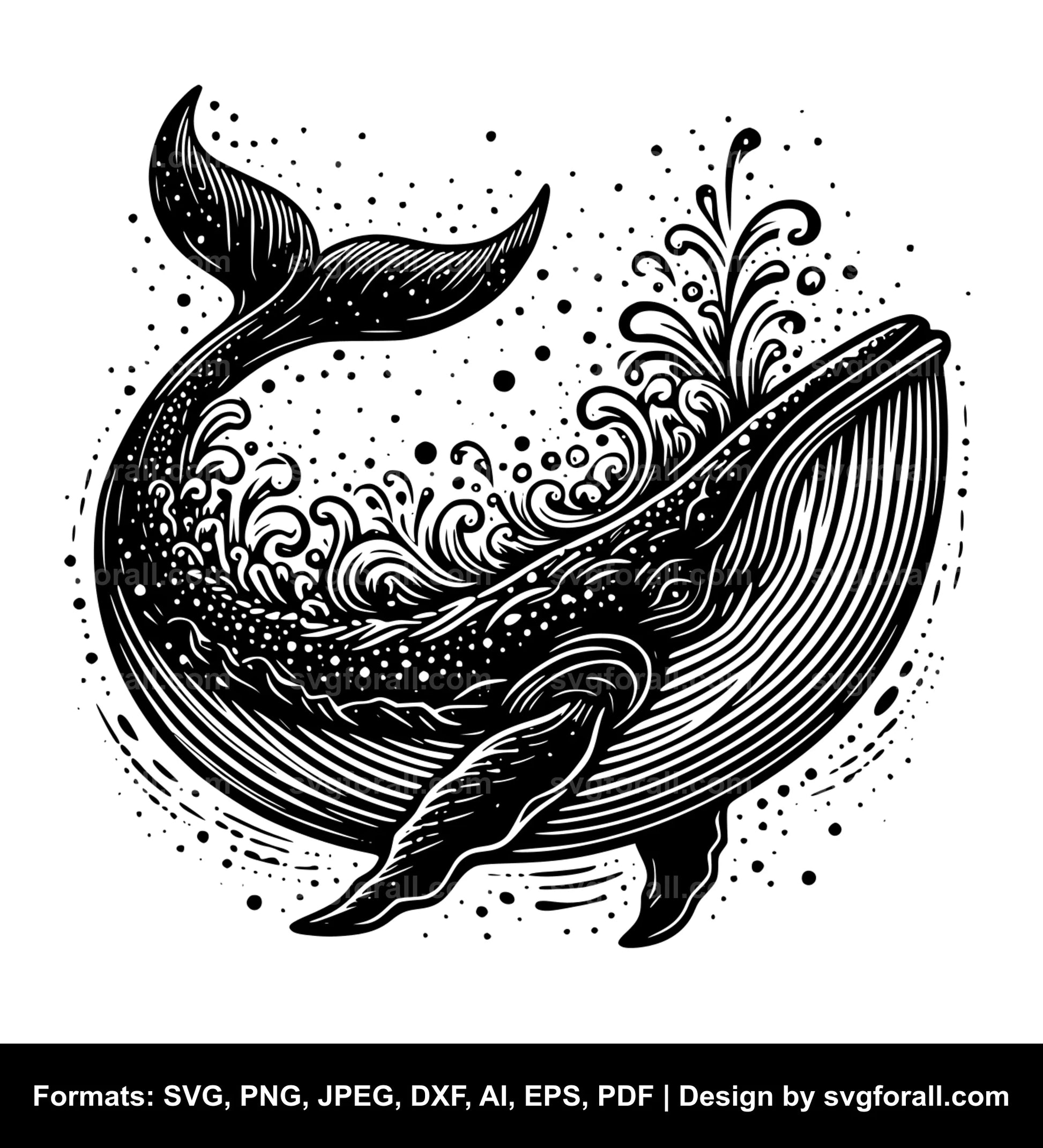 Whale SVG Vector