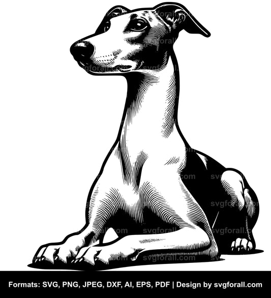 Whippet Dog SVG PNG