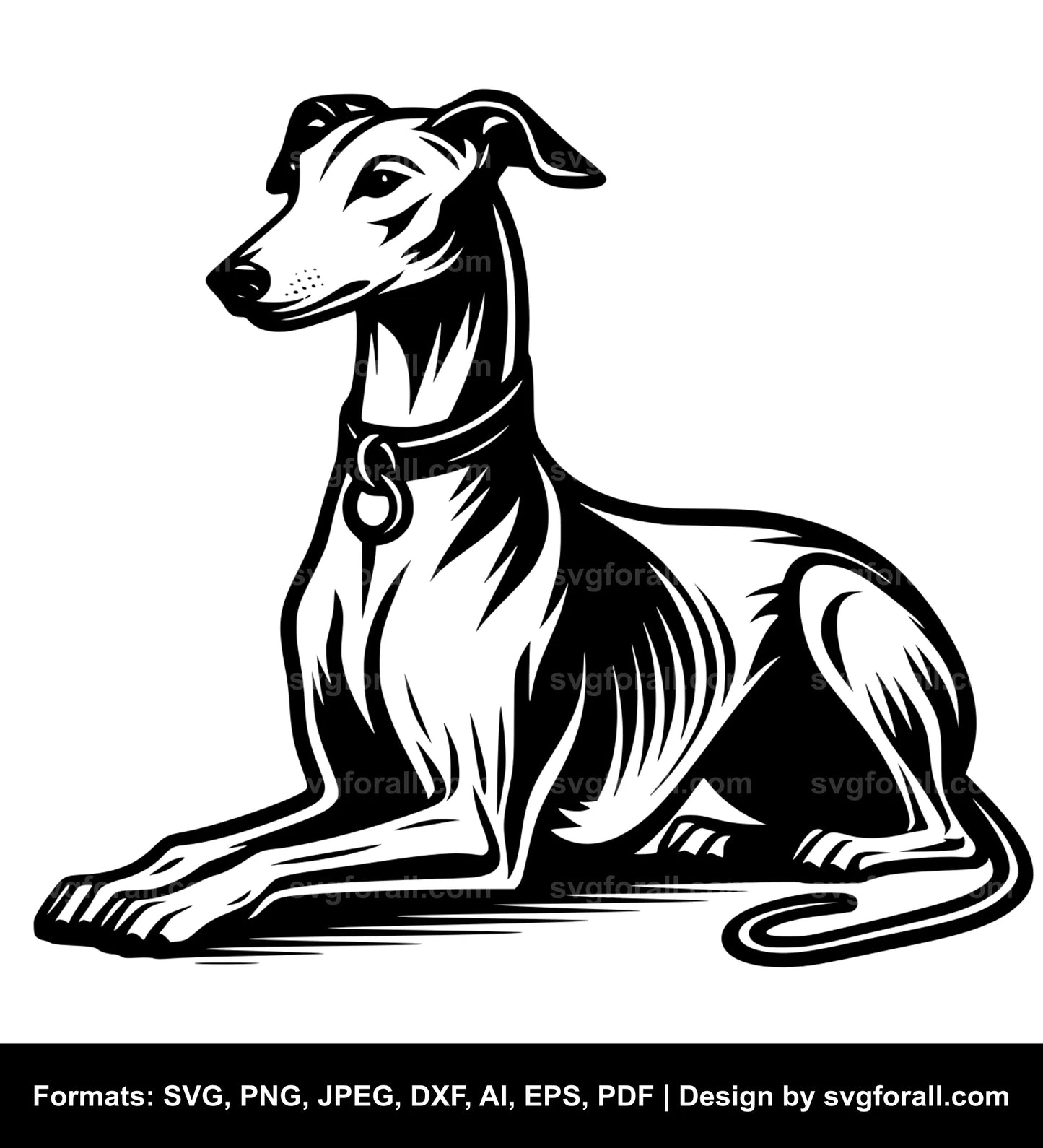 Whippet Dog Vector SVG