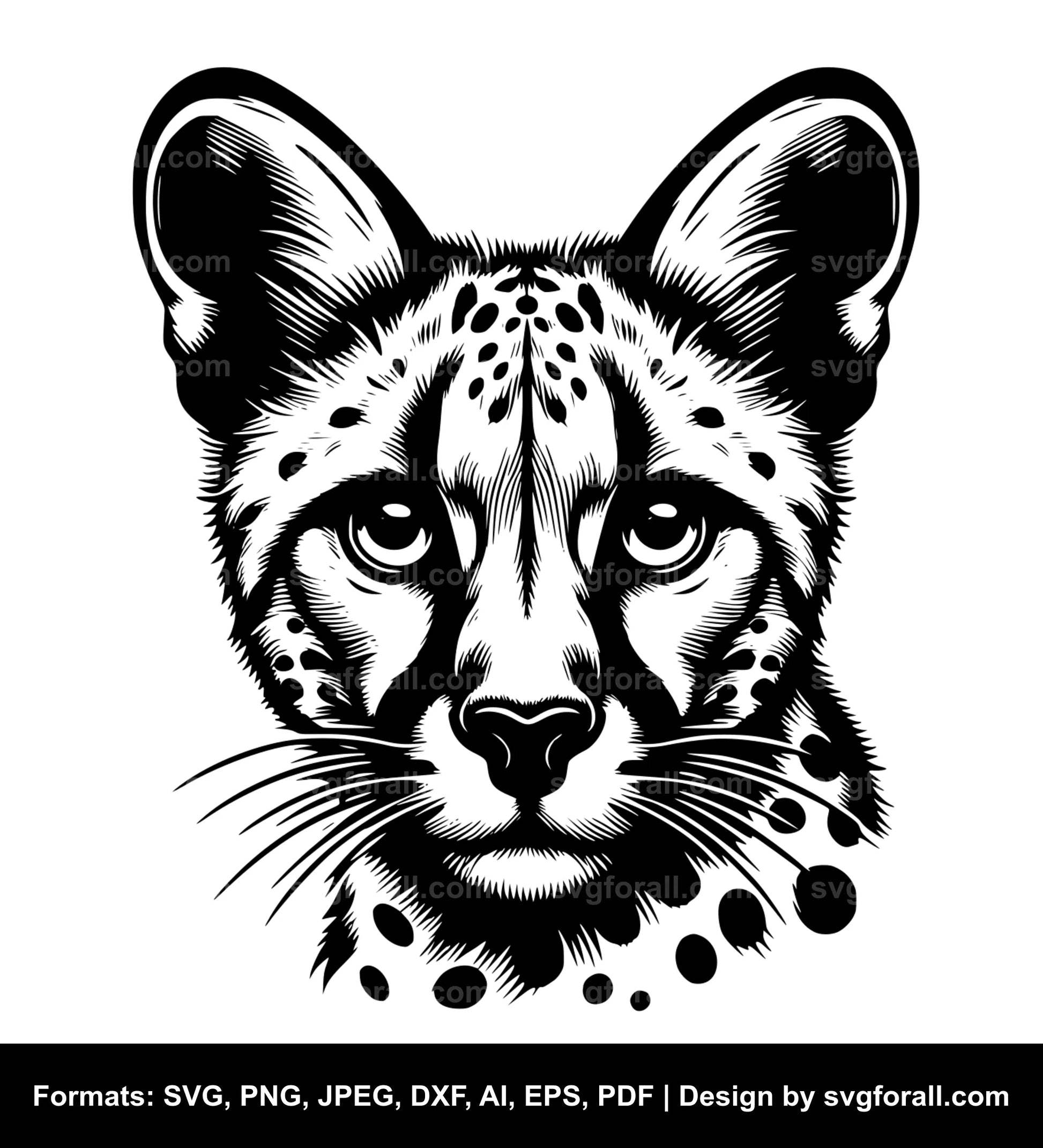 Wild Cat SVG