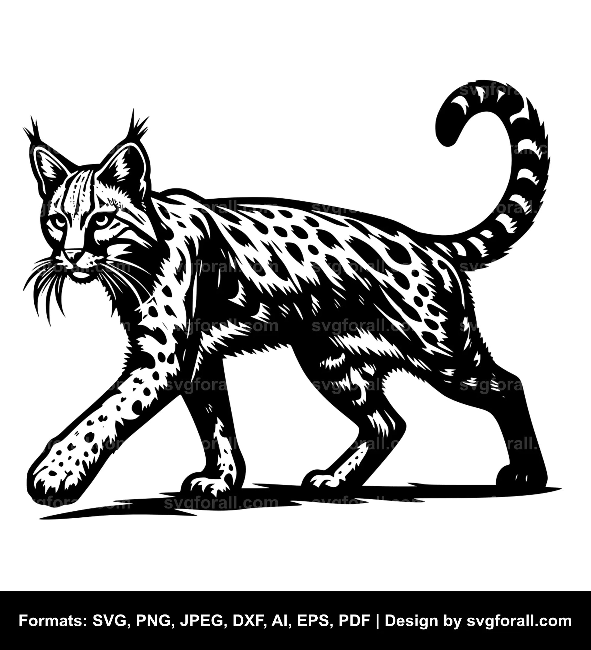 Wild Cat SVG Design