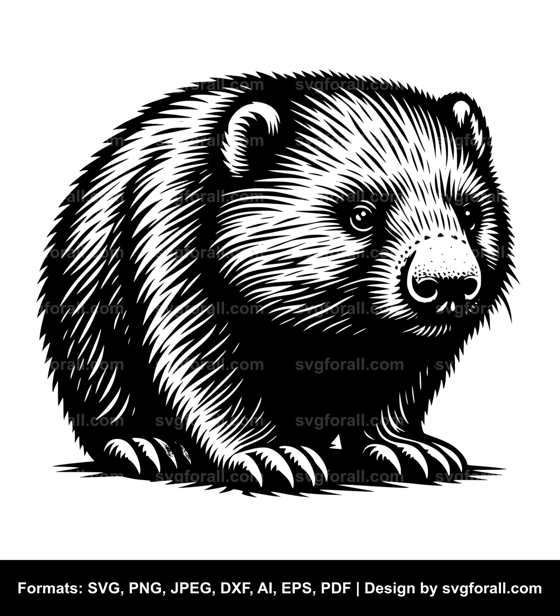 Wombat Vector SVG