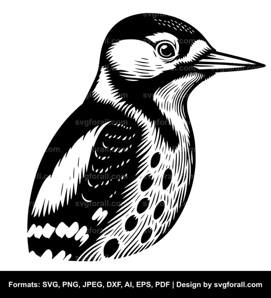 Woodpecker SVG PNG