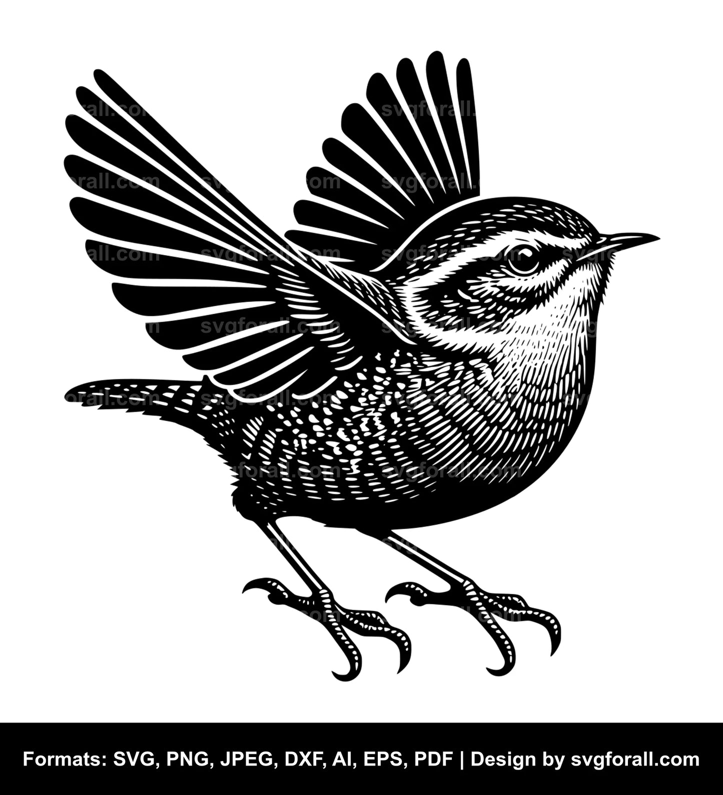 Wren Bird Black SVG