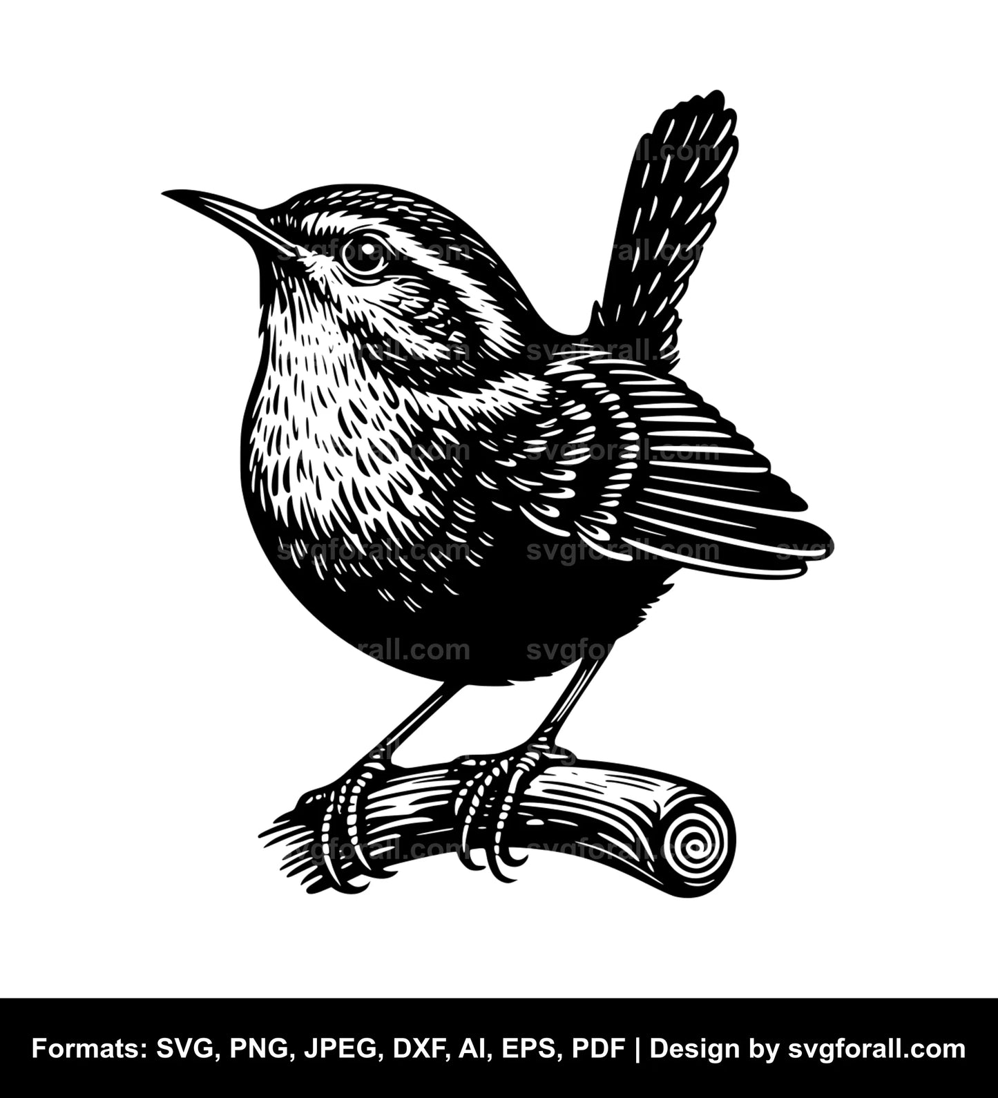 Wren Bird SVG