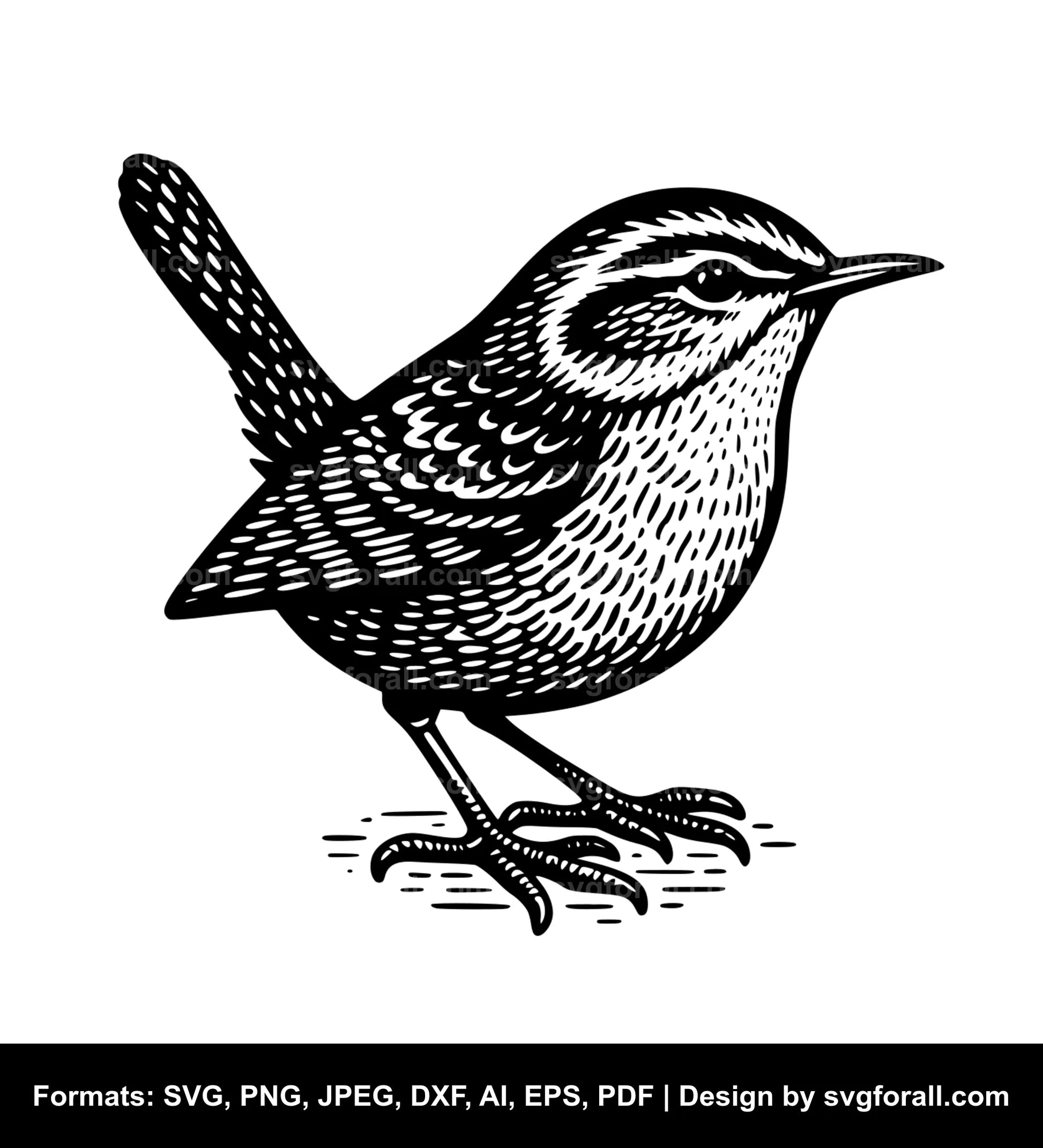 Wren Bird SVG File