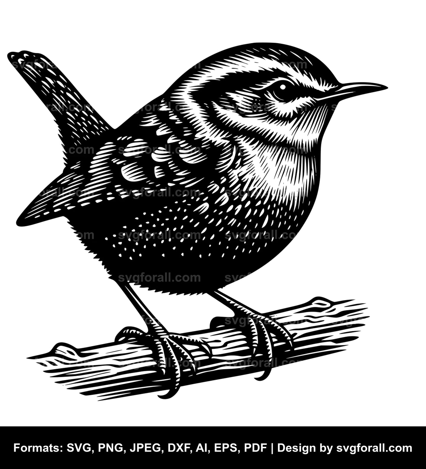 Wren Bird SVG Vector