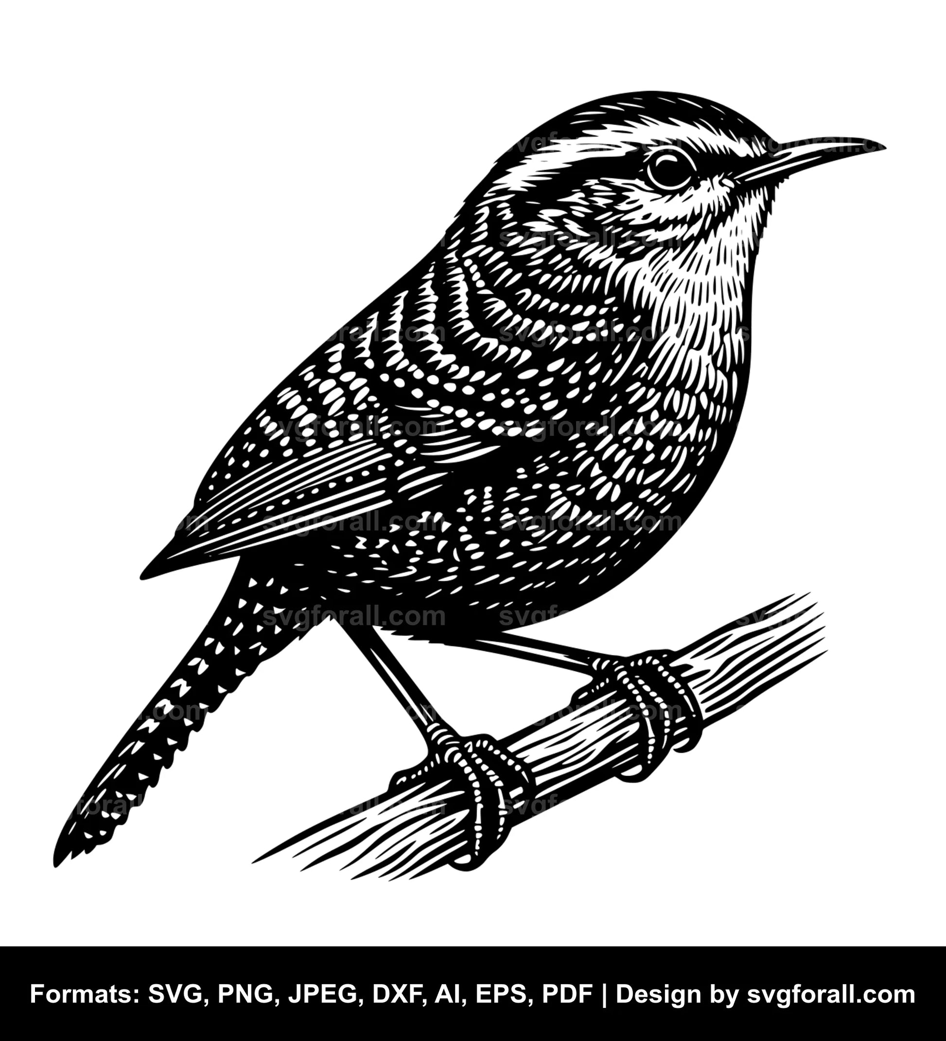 Wren Bird Vector SVG