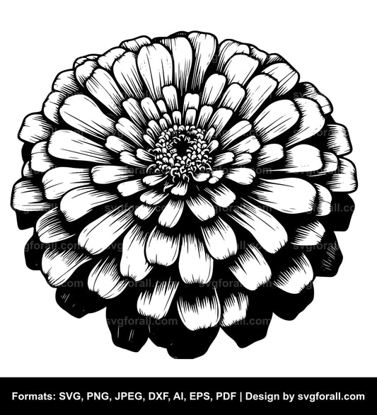 Zinnia Flower SVG