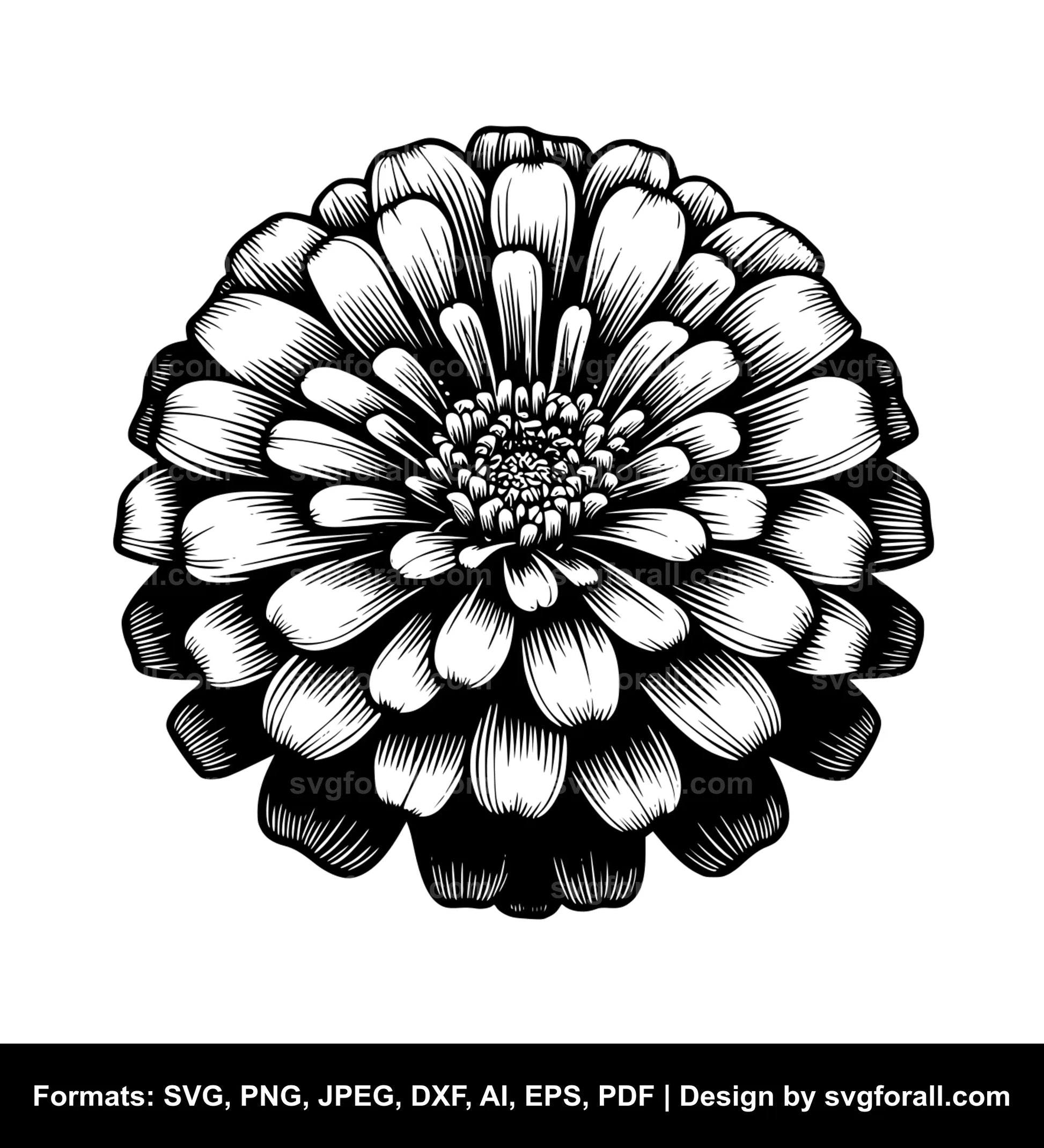 Zinnia Flower SVG PNG