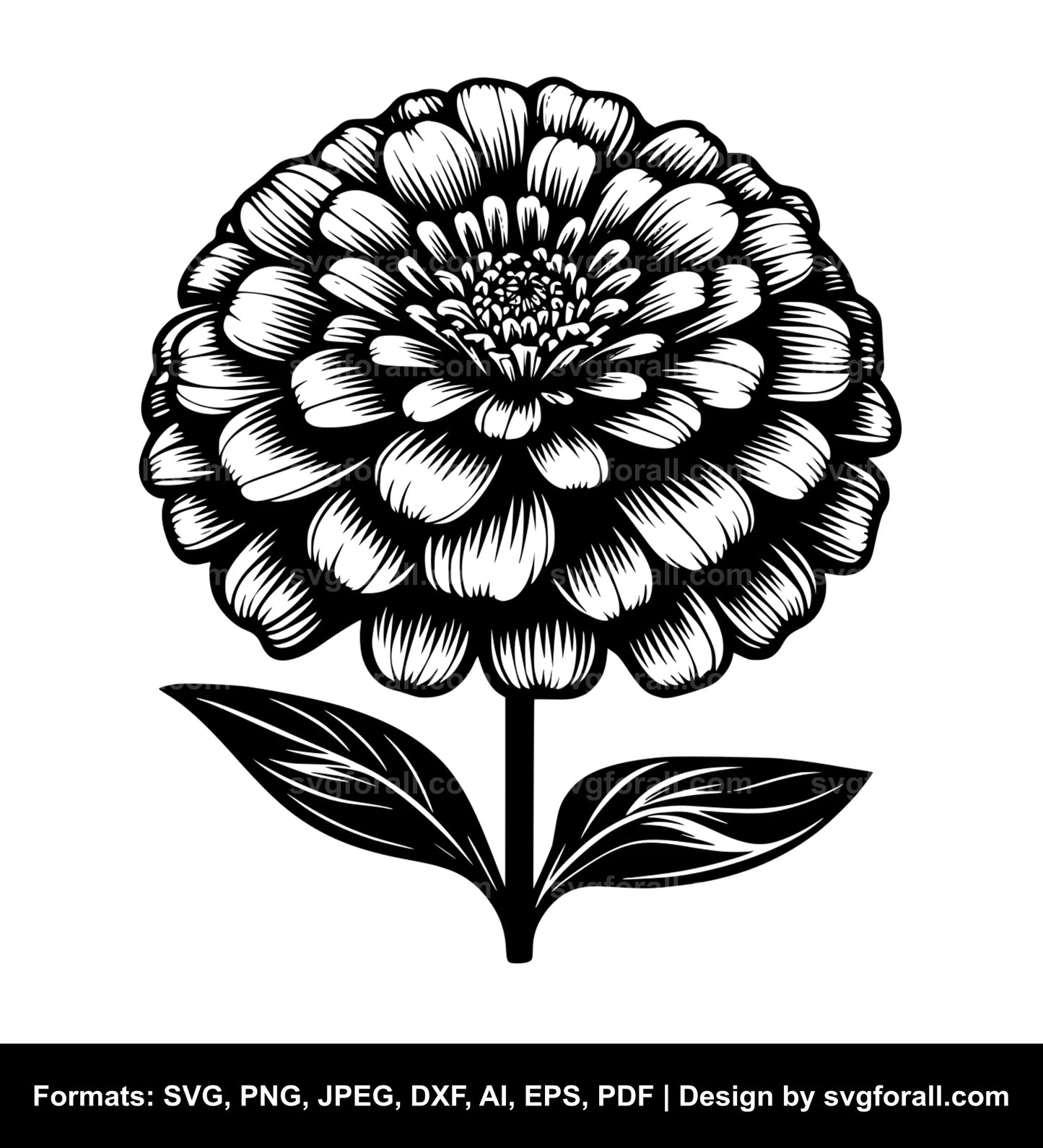 Zinnia Flower SVG Vector