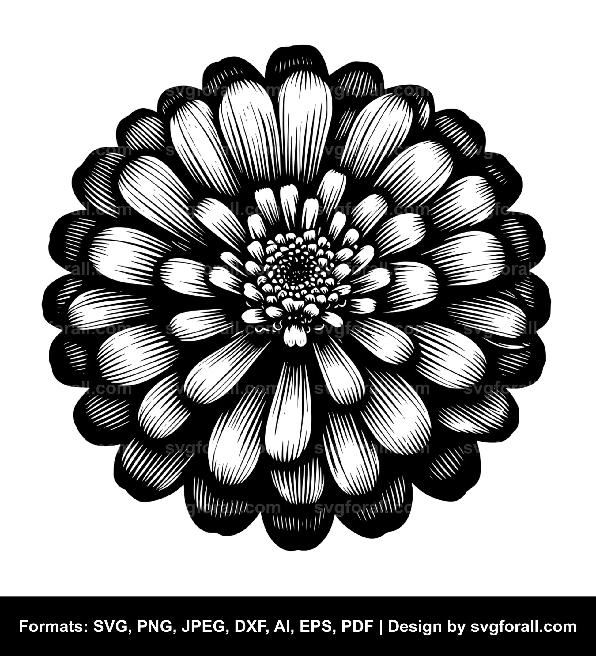 Zinnia Flower Vector SVG