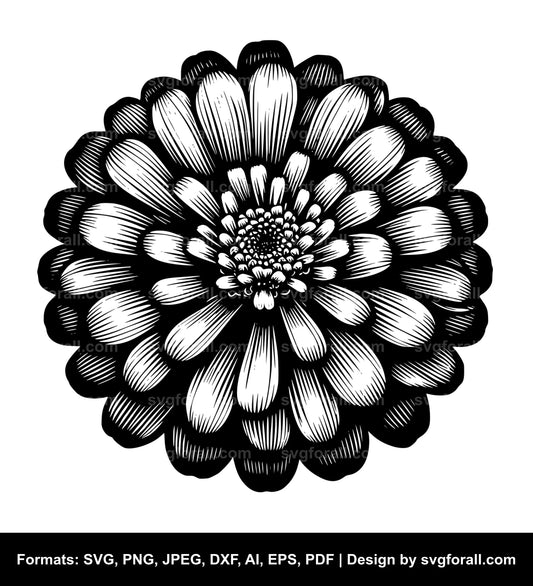 Zinnia Flower Vector SVG